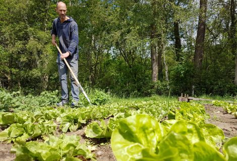 Zelf oogsten in de Tuin van Teun