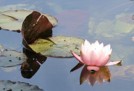 Onthaasten en "ont-moeten" met Meditatiegroep Heino