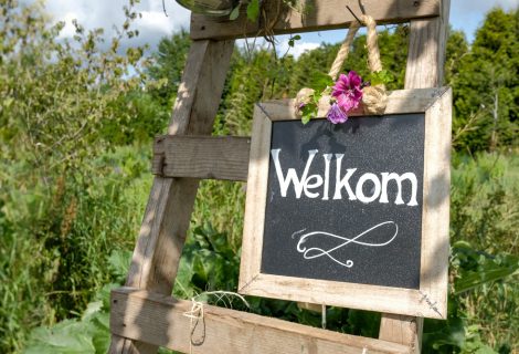 Haal zelf je groente en fruit van het land bij Decohof