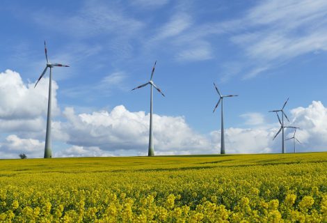 Windmolens in de gemeente Raalte; Wat vind jij belangrijk?