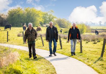 Al wandelend op ontdekkingstocht door natuurgebied Het Lierderbroek